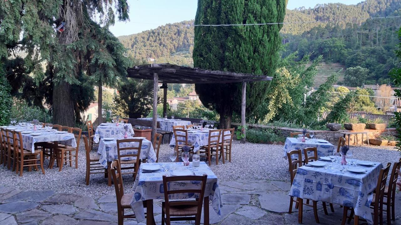 Agriturismo Alle Camelie Villa Capannori Exteriör bild